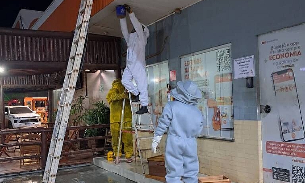 Bombeiros retiram enxame de abelhas após ataques em posto na MT-449