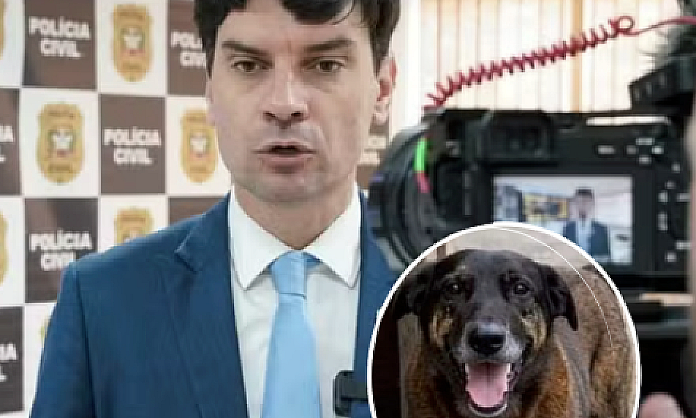 Ministério Público instaura inquérito contra ex-delegado-geral por possível irregularidade em apuração sobre morte do cão Orelha
