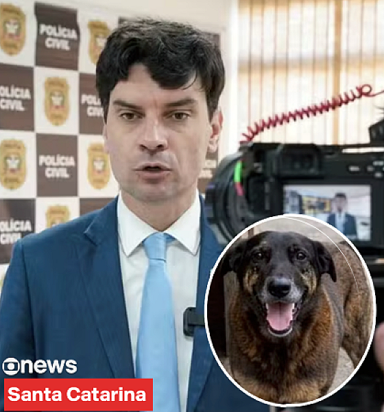 Ministério Público instaura inquérito contra ex-delegado-geral por possível irregularidade em apuração sobre morte do cão Orelha