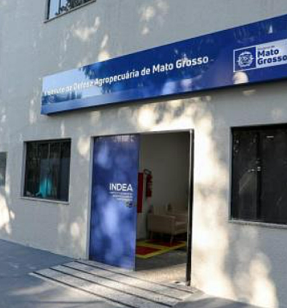 Indea confirma caso de raiva bovina em Porto Estrela