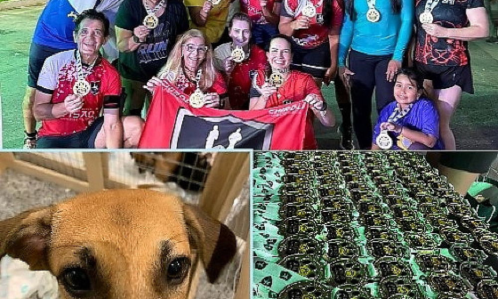 Corrida solidária em Cuiabá termina com mais de 30 animais adotados em feira promovida por ONG
