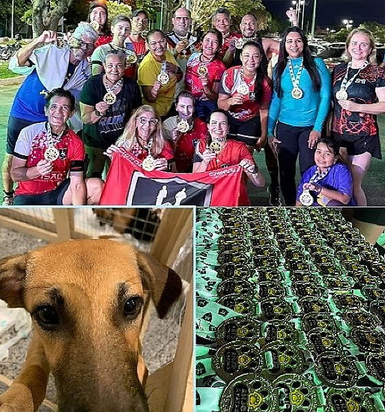 Corrida solidária em Cuiabá termina com mais de 30 animais adotados em feira promovida por ONG