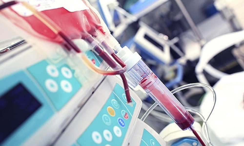 Mudança nas regras das Testemunhas de Jeová flexibiliza uso de sangue em procedimentos médicos