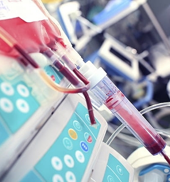 Mudança nas regras das Testemunhas de Jeová flexibiliza uso de sangue em procedimentos médicos