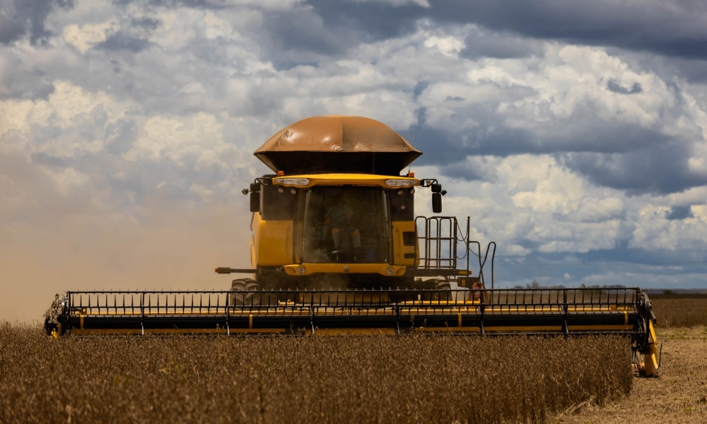 Chuvas irregulares atrasam colheita da soja e elevam riscos para o milho safrinha no país