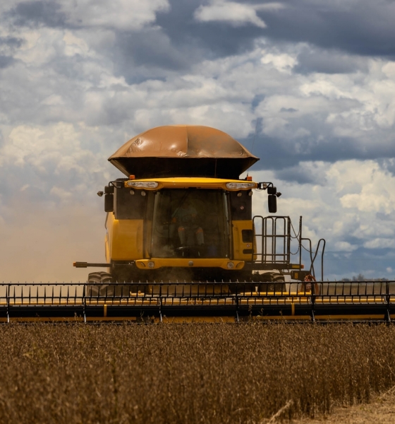 Chuvas irregulares atrasam colheita da soja e elevam riscos para o milho safrinha no país