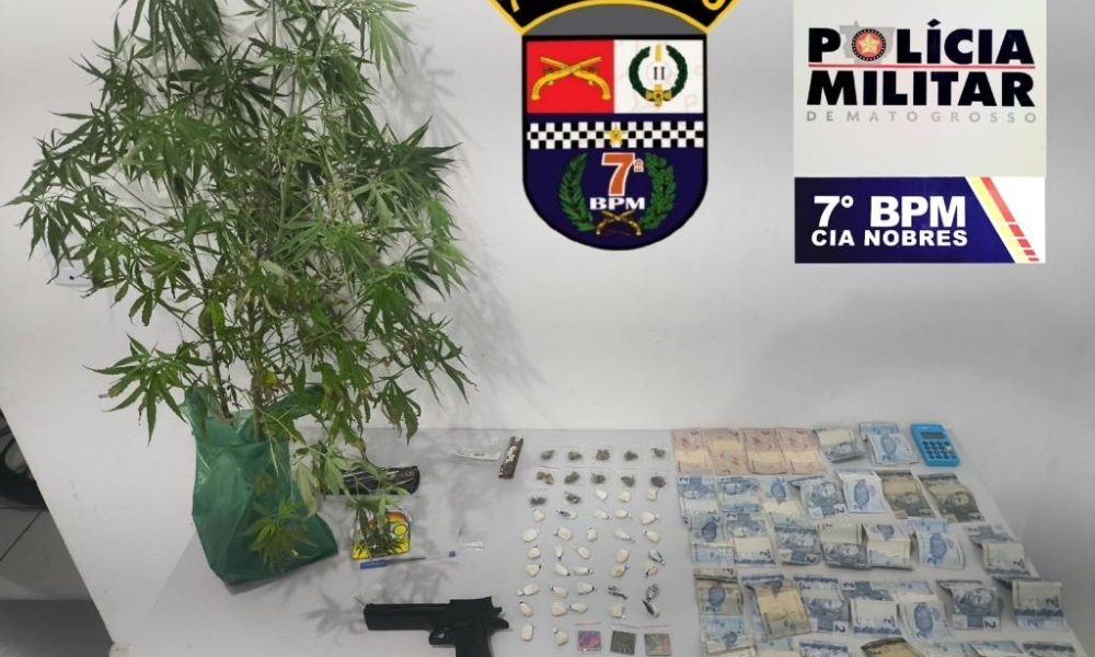 Homem é preso pela PM com pés de maconha e porções de drogas em residência