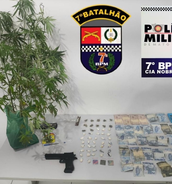 Homem é preso pela PM com pés de maconha e porções de drogas em residência
