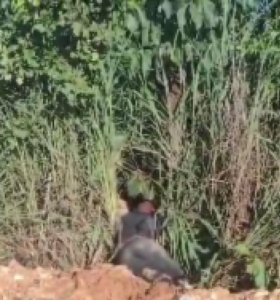 Corpo de homem monitorado por tornozeleira eletrônica é encontrado em matagal em Cuiabá