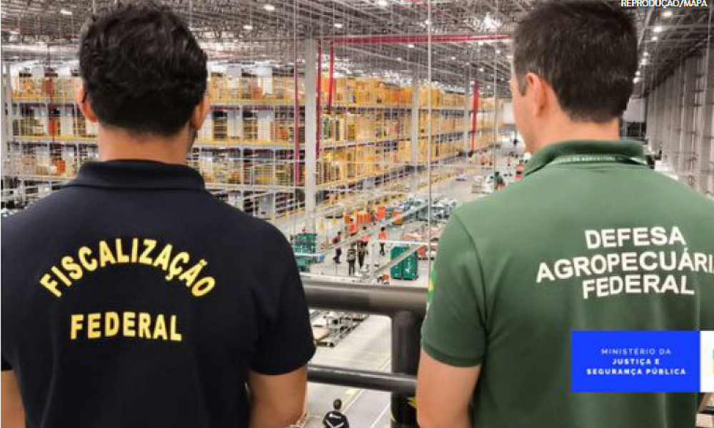 Fiscalização nacional retira quase 2 mil anúncios irregulares de alimentos vendidos online antes da Páscoa