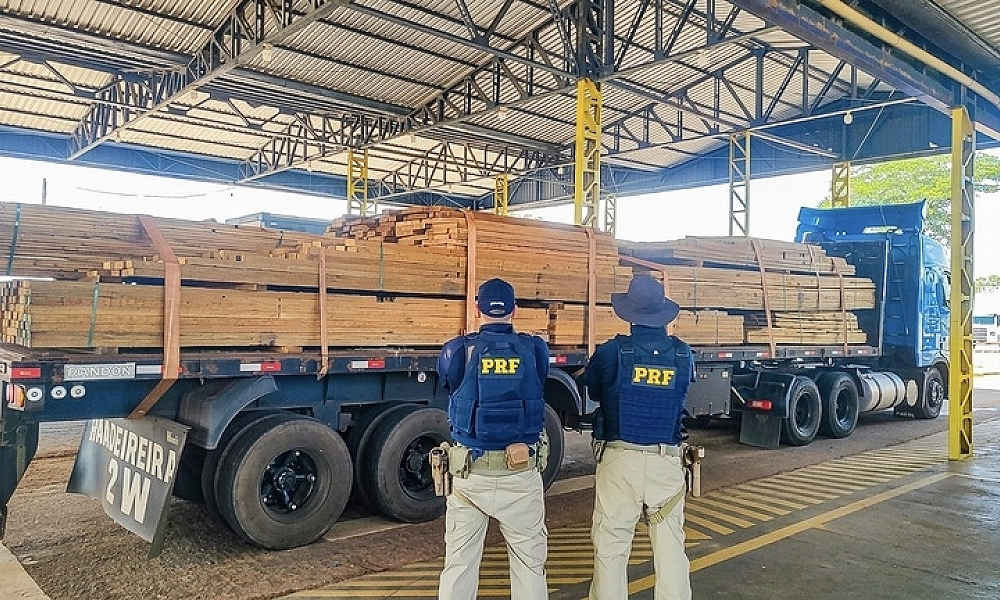 PRF apreende carga de madeira irregular durante fiscalização na BR-174 em Mato Grosso