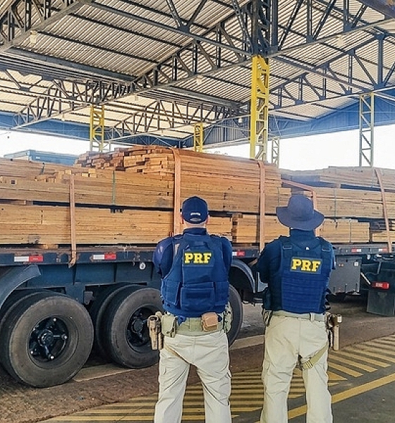 PRF apreende carga de madeira irregular durante fiscalização na BR-174 em Mato Grosso