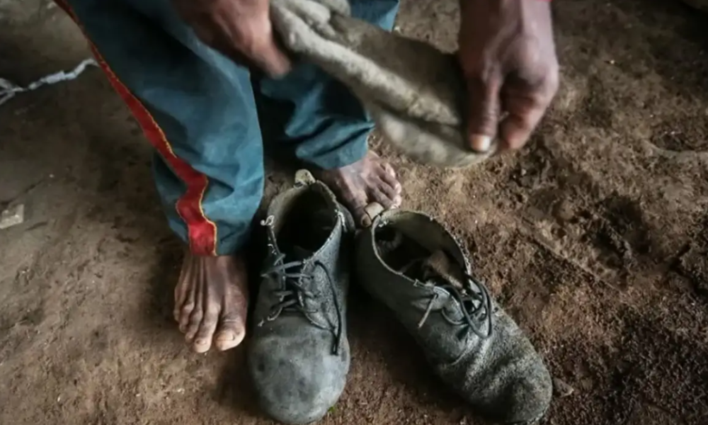 MTE atualiza lista suja do trabalho escravo e inclui BYD e cantor Amado Batista