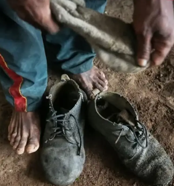 MTE atualiza lista suja do trabalho escravo e inclui BYD e cantor Amado Batista