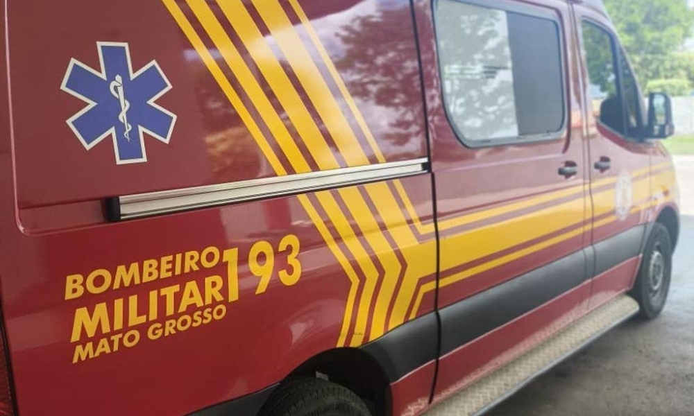 Corpo de Bombeiros reforça cuidados para evitar acidentes com escorpiões