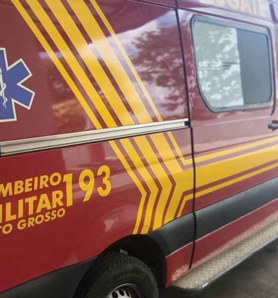 Corpo de Bombeiros reforça cuidados para evitar acidentes com escorpiões