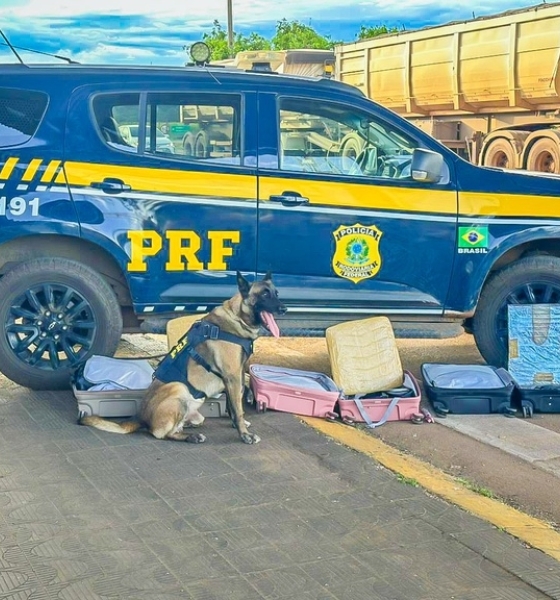 PRF apreende mais de 21 kg de cocaína em ônibus na BR-364