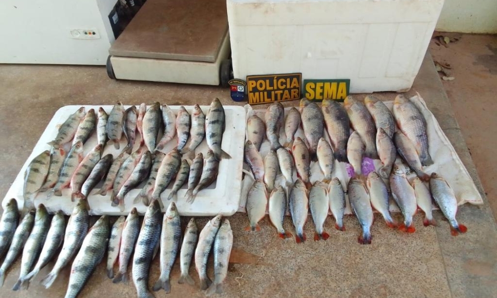 Sema-MT apreende 20 kg de pescado ilegal em Santo Antônio de Leverger