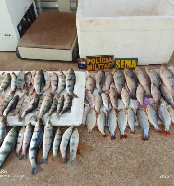 Sema-MT apreende 20 kg de pescado ilegal em Santo Antônio de Leverger