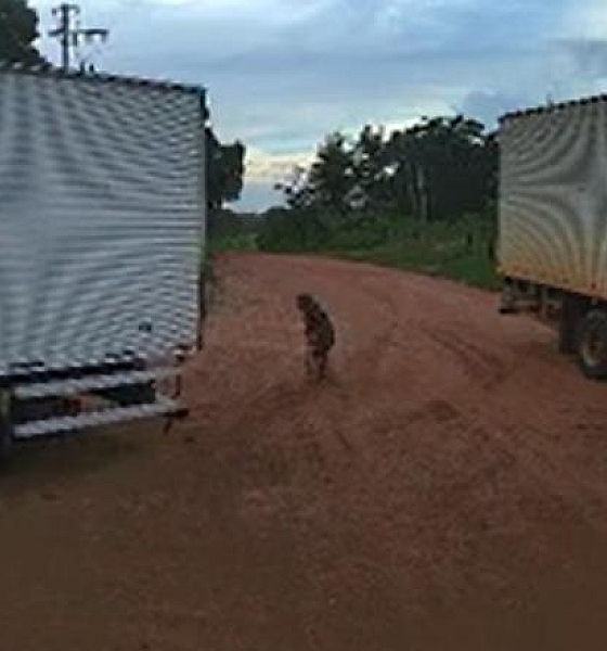 Idosa de 104 anos morre após ser atingida por caminhão em manobra de ré em Várzea Grande