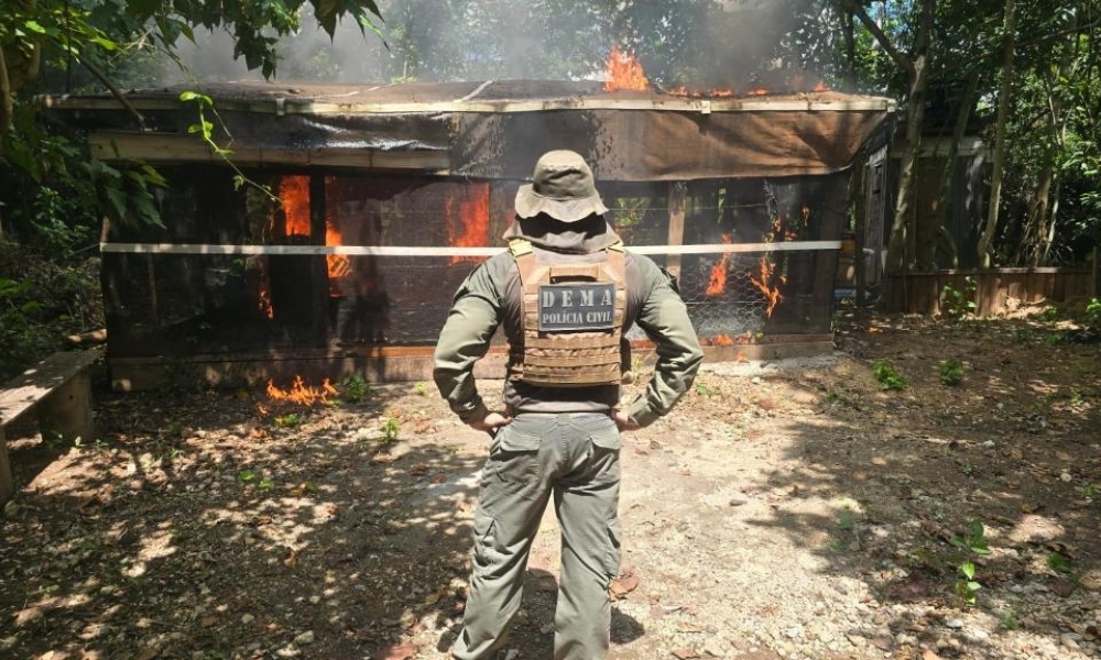 Operação resulta em prisões por crime ambiental e demolições de construções irregulares em Área de Preservação Permanente