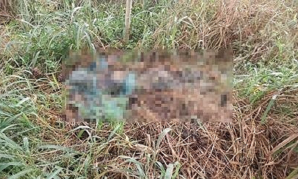 Corpo em decomposição é localizado em área de matagal em Nova Mutum