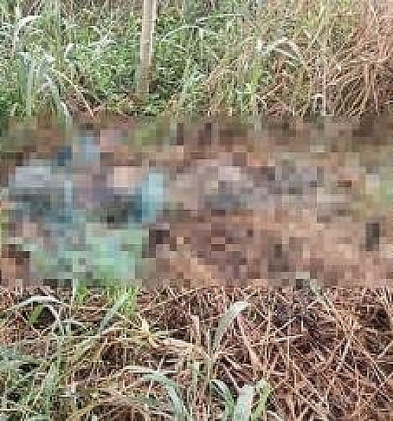 Corpo em decomposição é localizado em área de matagal em Nova Mutum