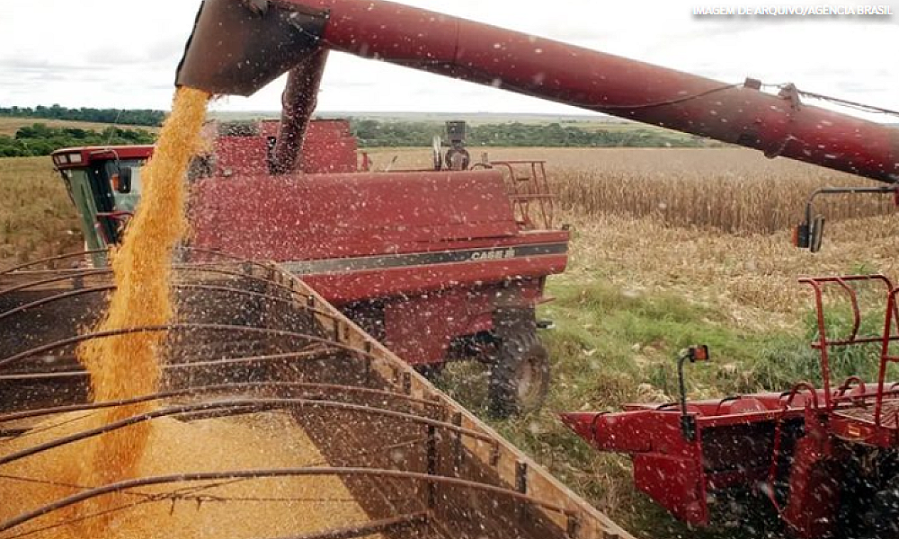 Safra de grãos 2025/26 pode bater novo recorde e chegar a 356,3 milhões de toneladas no Brasil