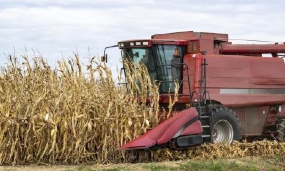 Credores apontam irregularidades em processo de recuperação milionário em Mato Grosso