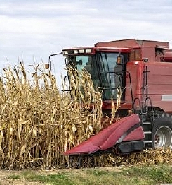 Credores apontam irregularidades em processo de recuperação milionário em Mato Grosso