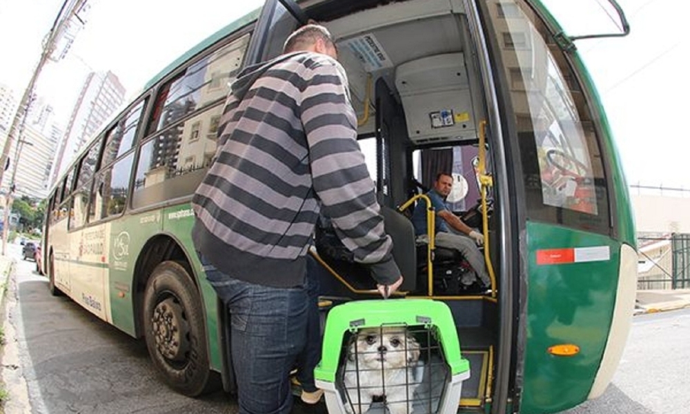 Ager-MT proíbe cobranças extras e padroniza transporte de pets em ônibus intermunicipais