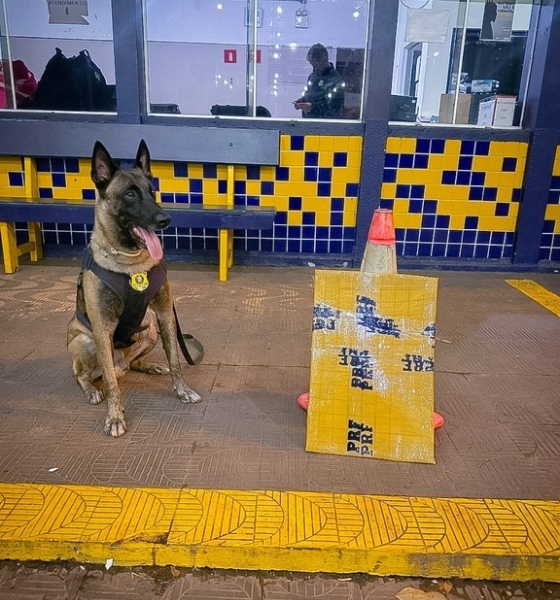 PRF apreende mais de 3 kg de pasta base de cocaína em ônibus interestadual na BR-364 em Rondonópolis