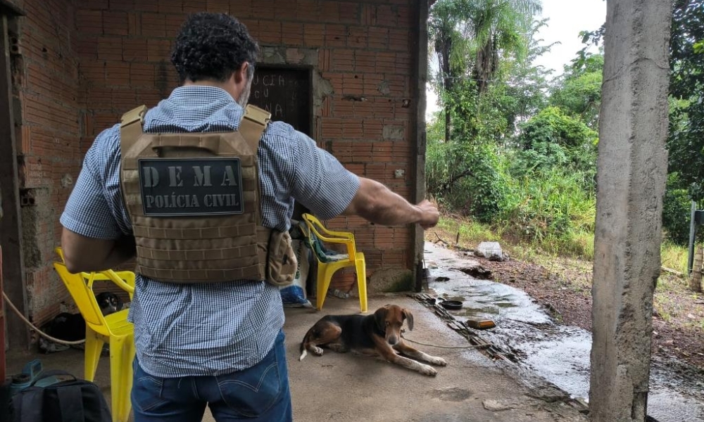 Polícia Civil identifica suspeito por maus-tratos e abuso contra cachorro