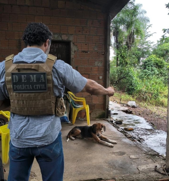 Polícia Civil identifica suspeito por maus-tratos e abuso contra cachorro