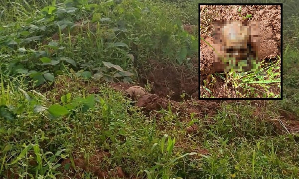 Ossada humana é encontrada nos fundos de creche em General Carneiro