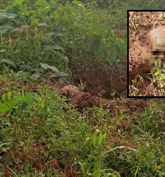 Ossada humana é encontrada nos fundos de creche em General Carneiro