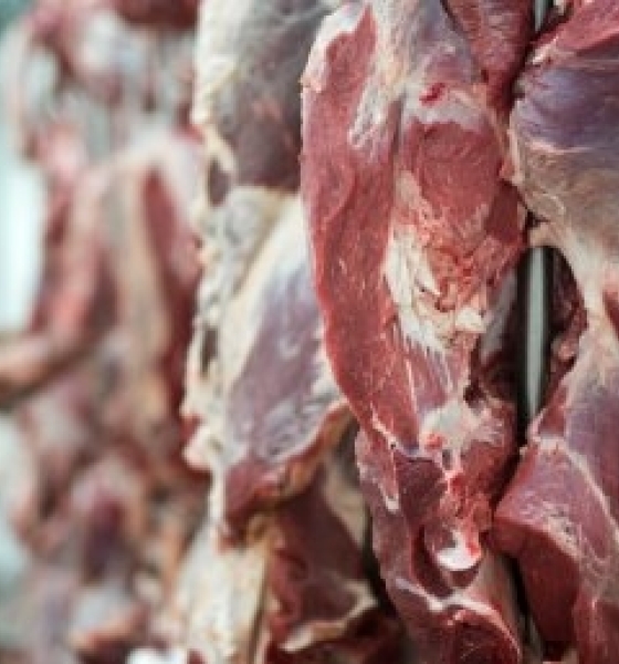 China suspende compras de carne de frigorífico em Várzea Grande após irregularidade sanitária