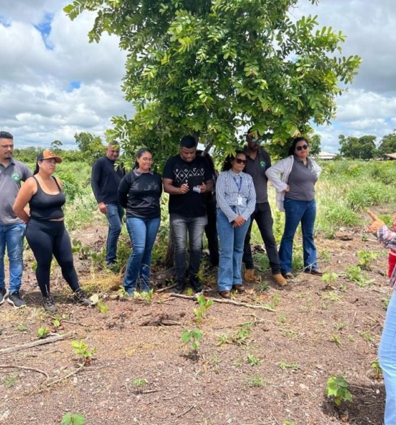 Cursos técnicos em agronegócio ampliam oportunidades de qualificação em Mato Grosso
