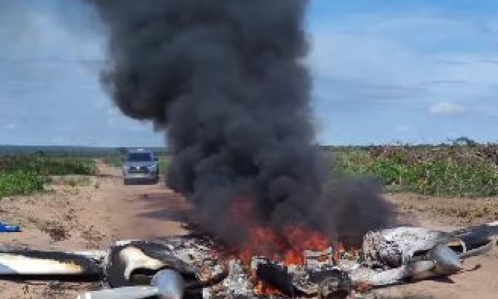 Avião bimotor cai em área rural entre Campo Novo do Parecis e Brasnorte