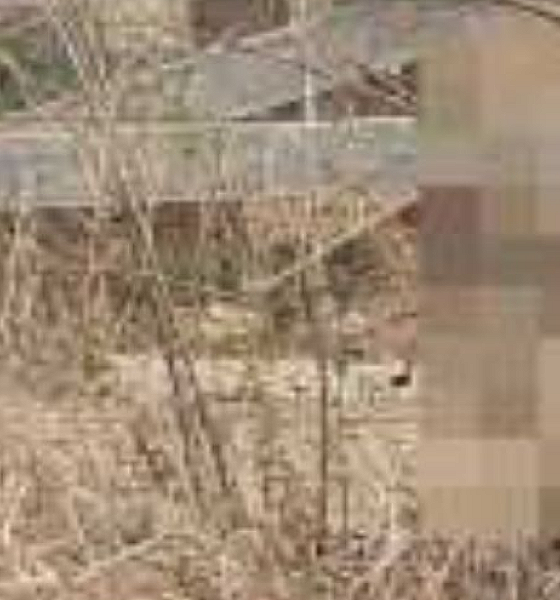 Mulher é encontrada morta com sinais de tortura em área rural de Apiacás