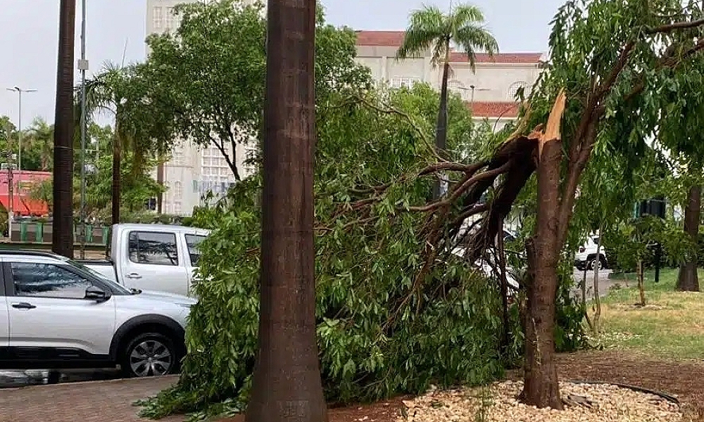 Tempestade provoca estragos em Cuiabá