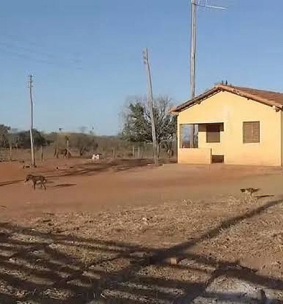 Homem mata ex-mulher e caseiro e é morto pelo ex-sogro em fazenda de Minas Gerais