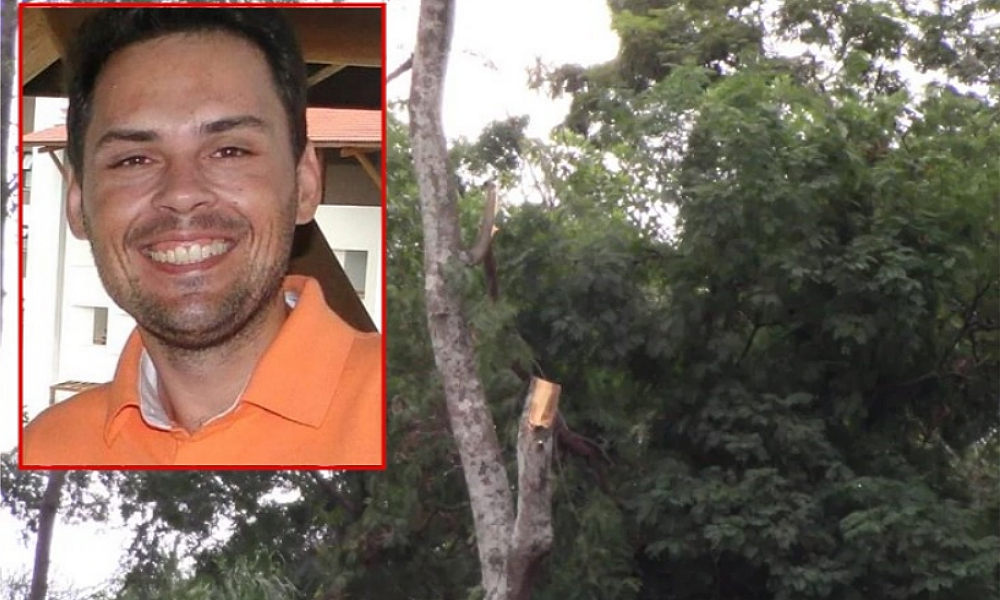 Empresário morre após cair de árvore durante poda em Sorriso