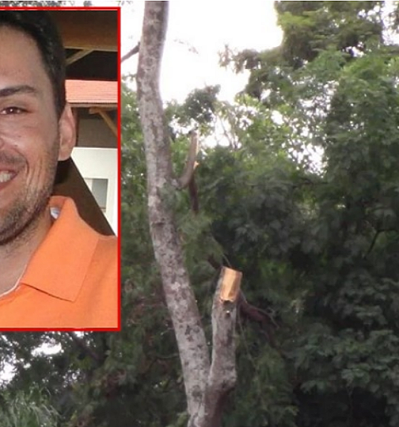 Empresário morre após cair de árvore durante poda em Sorriso