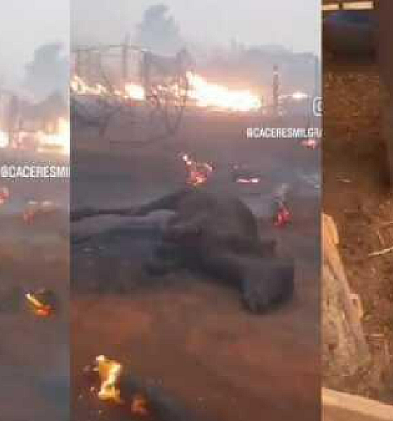 Incêndio de grandes proporções devasta Cáceres e causa destruição ambiental