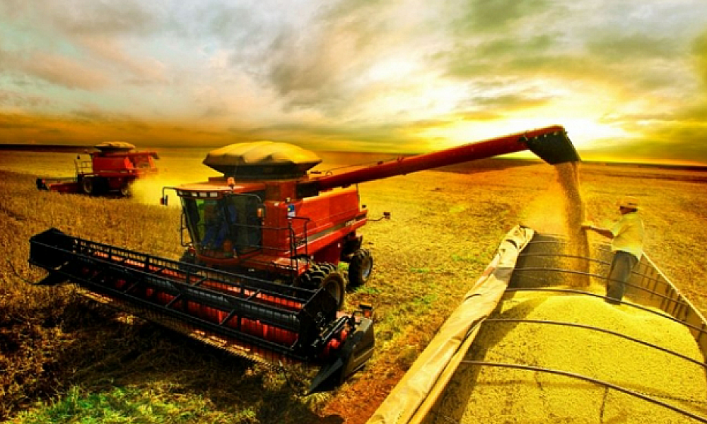 Produtores de soja e milho enfrentam desafios com altos custos e baixa rentabilidade em Mato Grosso