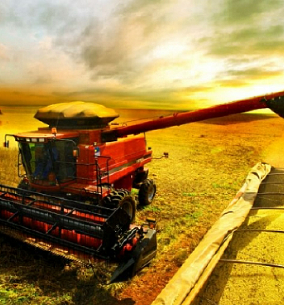 Produtores de soja e milho enfrentam desafios com altos custos e baixa rentabilidade em Mato Grosso