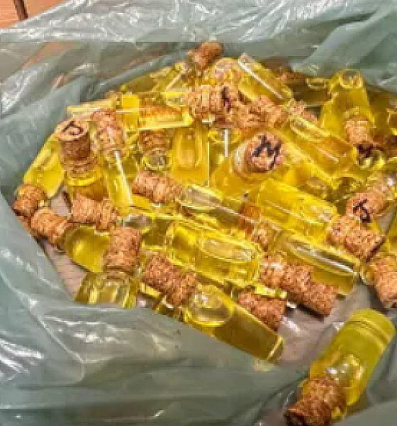 Operação desmantela grupo criminoso que vendia produtos e lubrificantes ilegais à base de cannabis