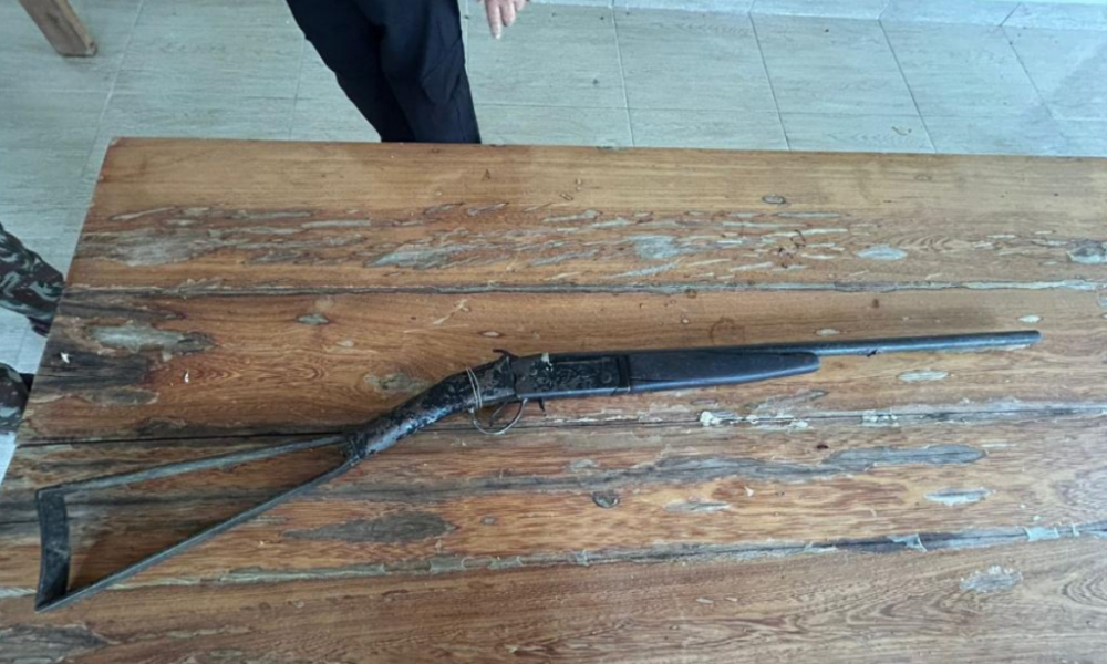 Polícia Civil deflagra Operação Guardiões e prende oito por porte ilegal de armas e crimes ambientais em Canarana