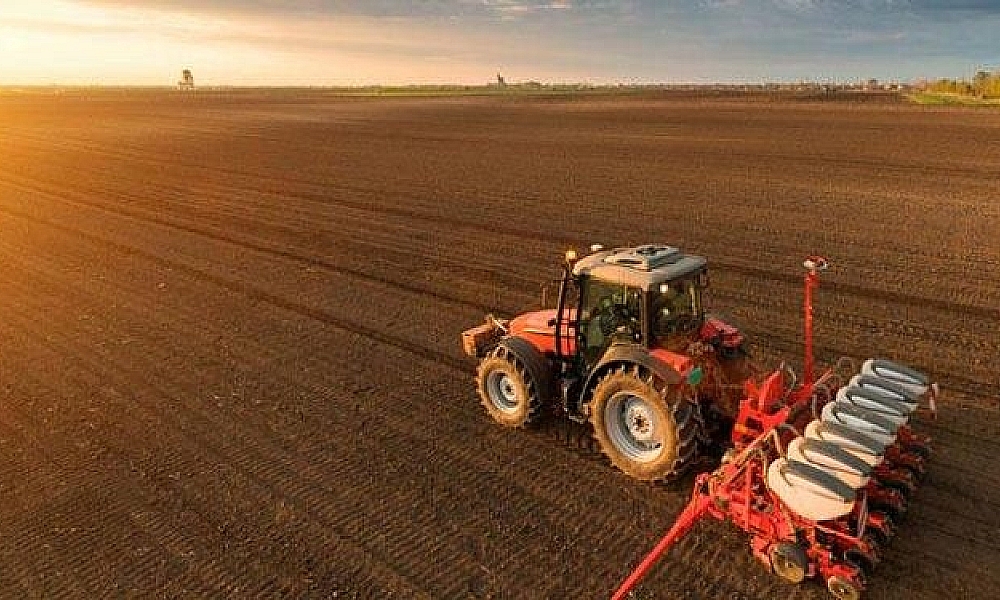 Plantio de soja em MT alcança 98,39% da área, afirma Imea